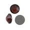 Preciosa Crystal VIVA12 Hotfix Rhinestone 4mm (SS16) Burgundy (Package of 50)